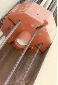 splice1