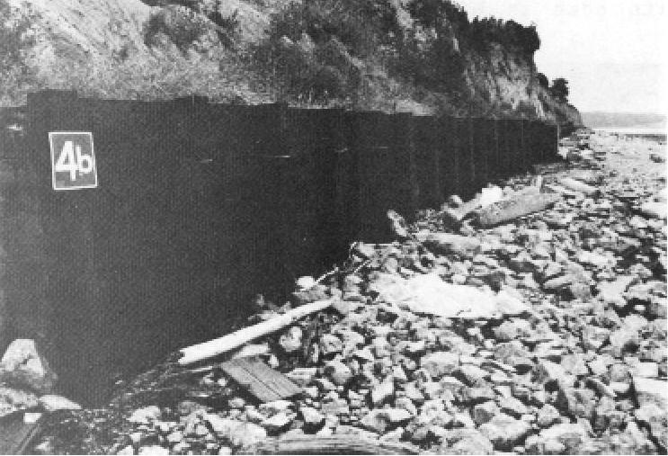 Figure 15 - Treated Timber Bulkhead